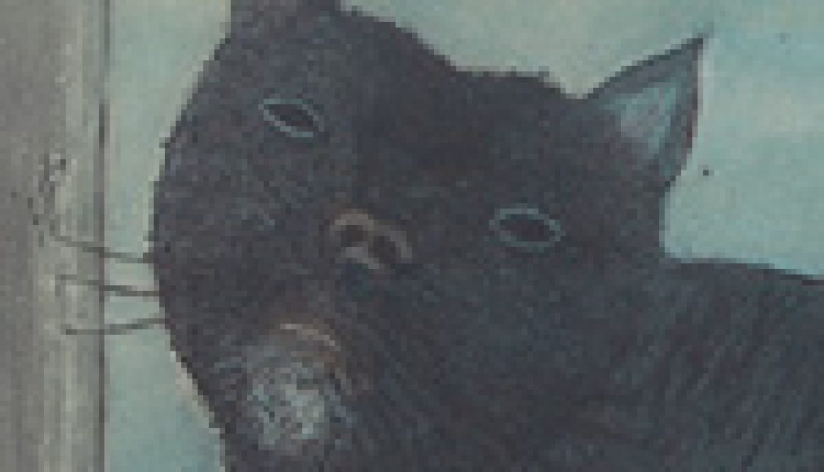 Imagen destacada Private Collection -Luis Vasolto-Gato con sombra de mujer- Jimenez Velado